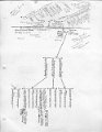 KaiserFamilyTree (3)